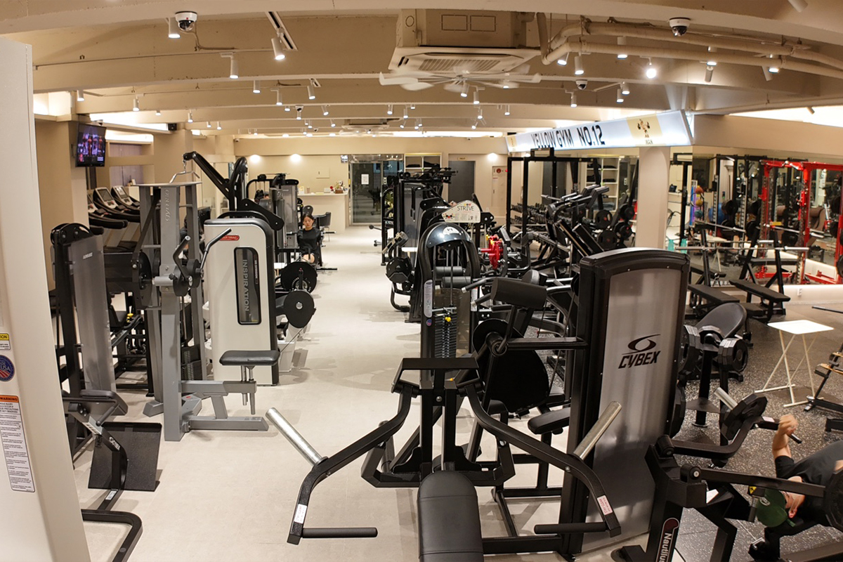�����̾� GYM